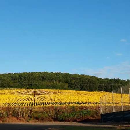 Les De Lili Saint-Loup (Tarn-et-Garonne)