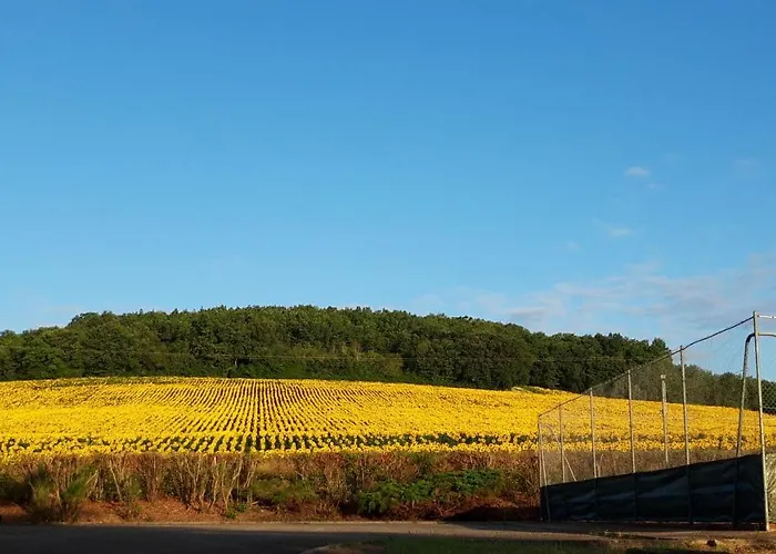 Les De Lili Saint-Loup (Tarn-et-Garonne)