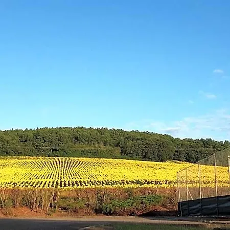 Alojamento de Acomodação e Pequeno-almoço Les De Lili Saint-Loup (Tarn-et-Garonne)